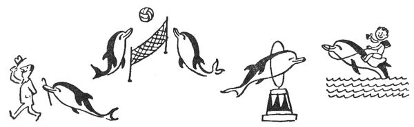 Святослав Сахарнов - Путешествие на "Тригле"