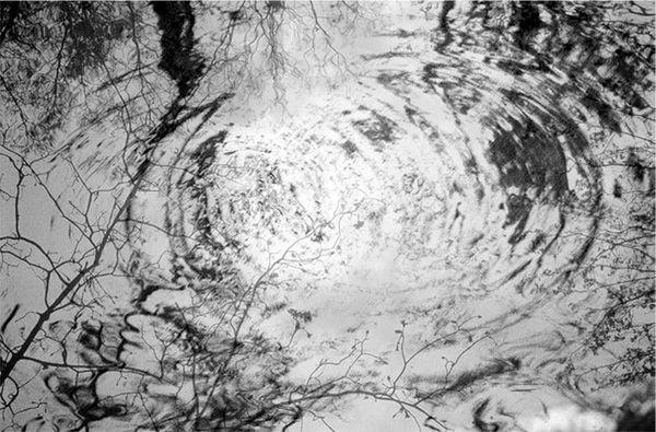 Александр Логунов - Мудрые мысли о дружбе