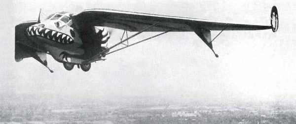 Дмитрий Соболев - Столетняя история "летающего крыла"