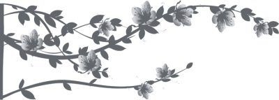 Сердце на ладони