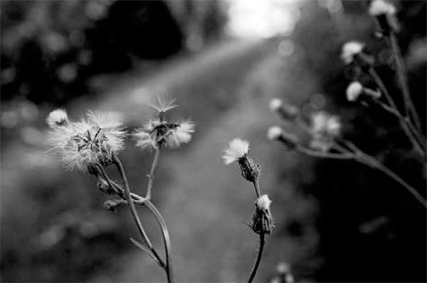 Александр Логунов - Мудрые мысли о дружбе