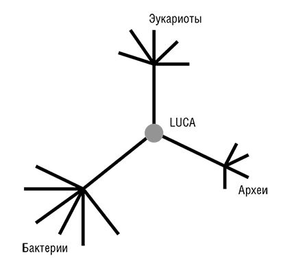 Евгений Кунин - Логика случая. О природе и происхождении биологической эволюции
