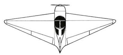 Дмитрий Соболев - Столетняя история "летающего крыла"