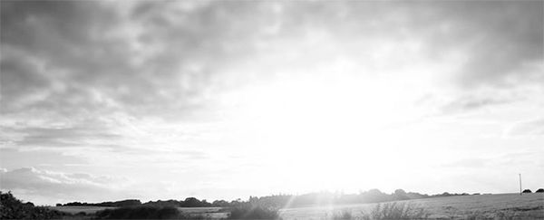 Александр Логунов - Мудрые мысли о дружбе