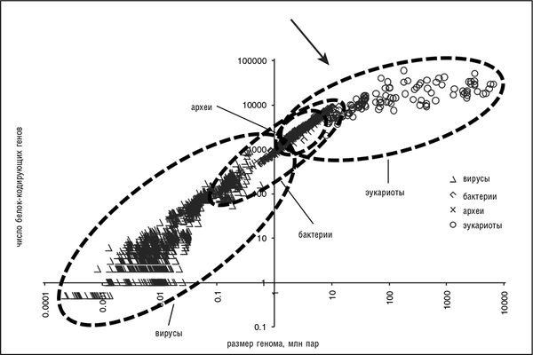 Евгений Кунин - Логика случая. О природе и происхождении биологической эволюции