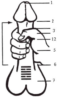 Л. Бинг - Секреты любви. Даосская практика для женщин и мужчин