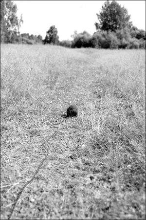 Анна Бену - Танцующие с волками. Символизм сказок и мифов мира