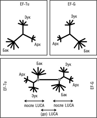 Евгений Кунин - Логика случая. О природе и происхождении биологической эволюции