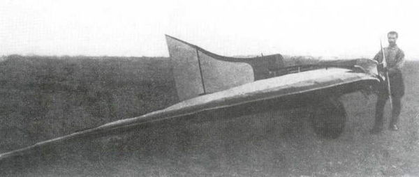 Дмитрий Соболев - Столетняя история "летающего крыла"