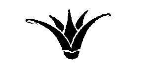 Золотой фараон