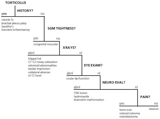 Александр Губин - Острая кривошея у детей: Пособие для врачей