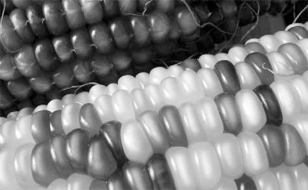 Александр Логунов - Мудрые мысли о дружбе