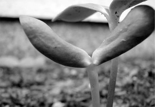 Александр Логунов - Мудрые мысли о дружбе