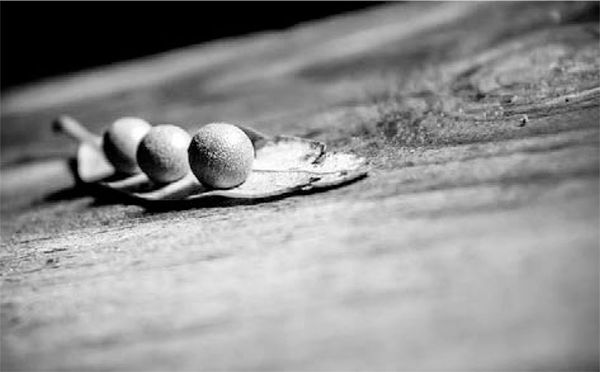 Александр Логунов - Мудрые мысли о дружбе