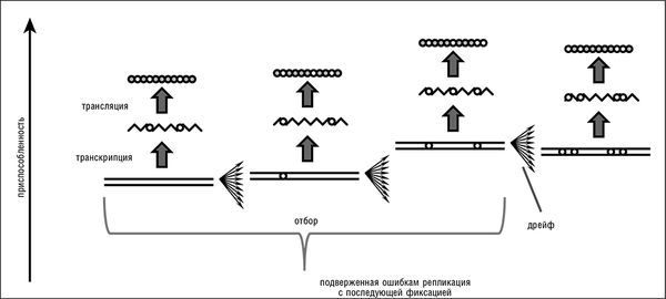 Евгений Кунин - Логика случая. О природе и происхождении биологической эволюции
