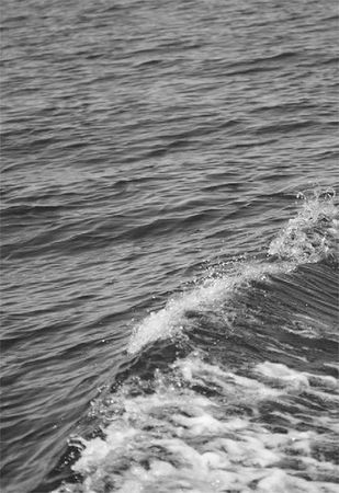 Александр Логунов - Мудрые мысли о дружбе