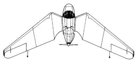 Дмитрий Соболев - Столетняя история "летающего крыла"