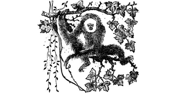 Еремей Парнов - Драконы грома