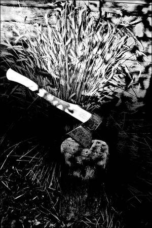 Анна Бену - Танцующие с волками. Символизм сказок и мифов мира