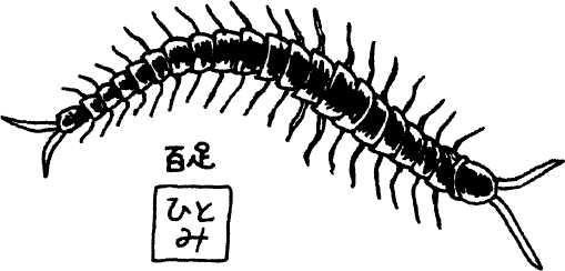 Ксения Головина, Елена Кожурина - Япония нестандартный путеводитель
