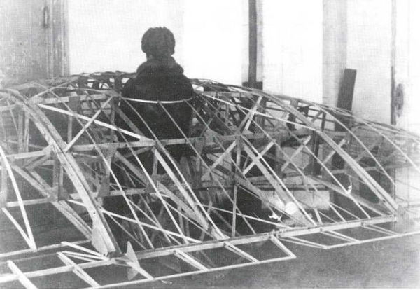 Дмитрий Соболев - Столетняя история "летающего крыла"