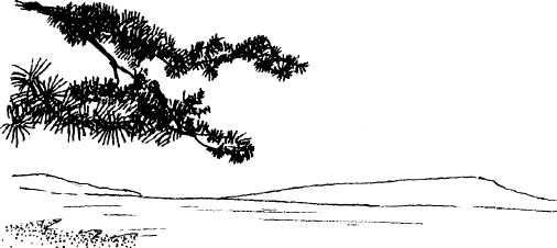 Ксения Головина, Елена Кожурина - Япония нестандартный путеводитель