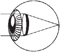 Игорь Афонин - Сними очки за 10 занятий