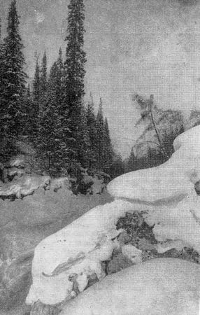 Ярослав Даркшевич, Валерий Капустин и др. - Росные тропы