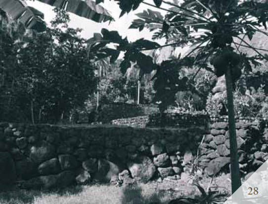 Эрих Дэникен - Доказательства существования богов. Более 200 сенсационных...