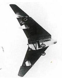 Дмитрий Соболев - Столетняя история "летающего крыла"