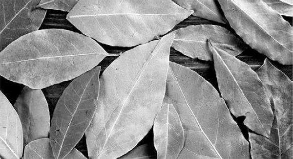 Александр Логунов - Мудрые мысли о дружбе