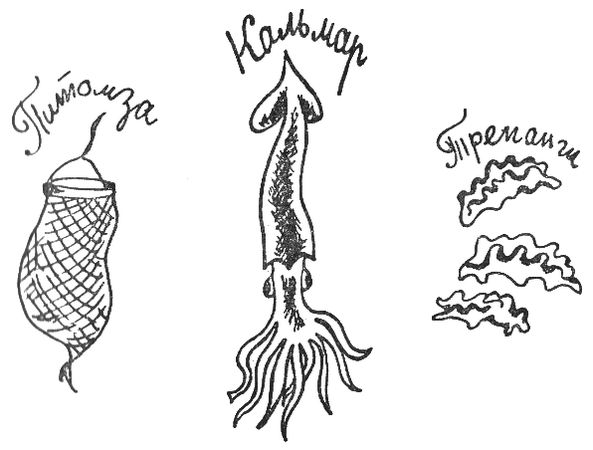 Святослав Сахарнов - Путешествие на "Тригле"