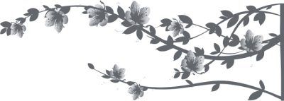 Сердце на ладони