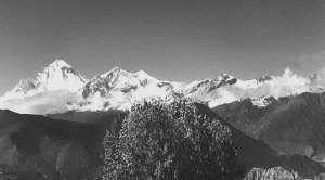 Екатерина Горбачева, Кристина Ляхова - Рекорды в мире природы