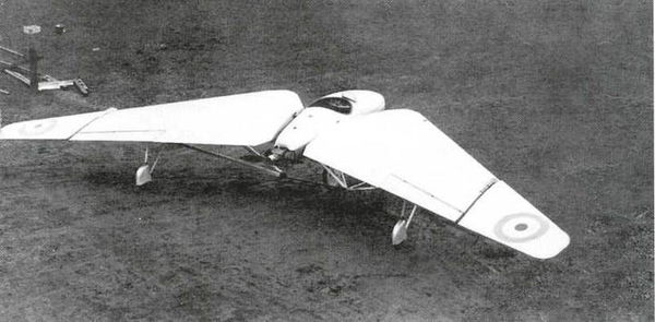 Дмитрий Соболев - Столетняя история "летающего крыла"