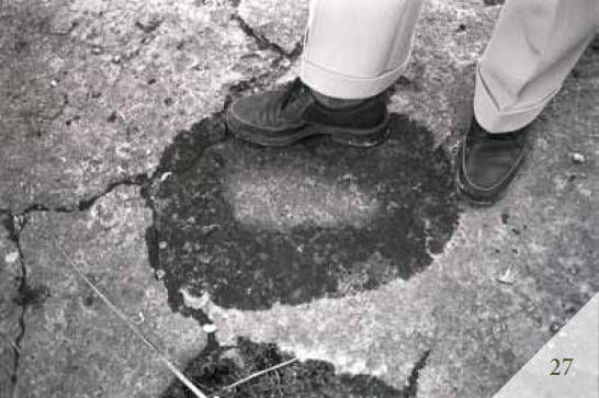 Эрих Дэникен - Доказательства существования богов. Более 200 сенсационных...