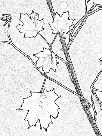 Владимир Кулаков - Шаги по осени считая... (сборник)