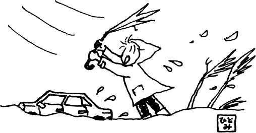 Ксения Головина, Елена Кожурина - Япония нестандартный путеводитель