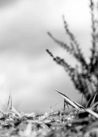 Александр Логунов - Мудрые мысли о дружбе