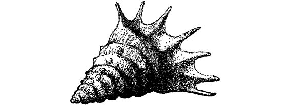 Еремей Парнов - Драконы грома