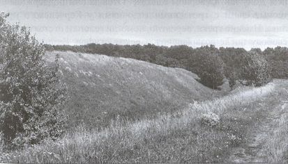 Сергей Алексеев, Александр Инков - Скифы: исчезнувшие владыки степей