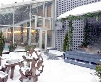 Алексей Григорьев - SPA, баня, бассейн