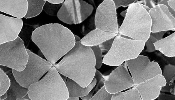 Александр Логунов - Мудрые мысли о дружбе