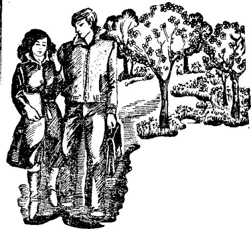 Василий Шаталов - Золотая подкова (сборник)