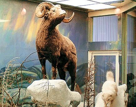 Александр Юдин - Сибирь. Путеводитель