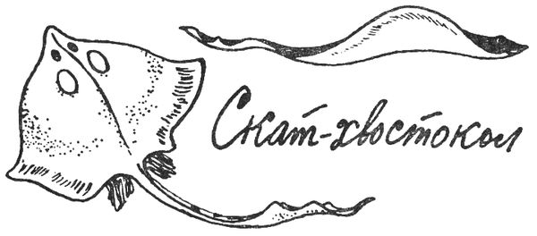 Святослав Сахарнов - Путешествие на "Тригле"