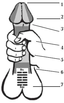 Л. Бинг - Секреты любви. Даосская практика для женщин и мужчин