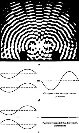 Амит Госвами - Самосознающая вселенная. Как сознание создает материальный мир