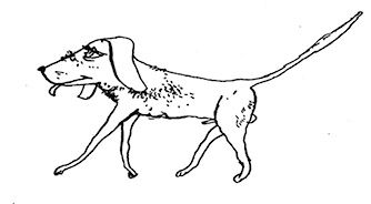 Борис Жердин - Ничего кроме правды