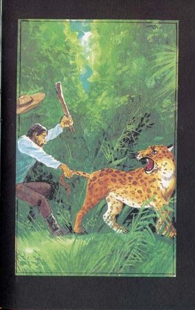 Луи Буссенар - Охотники за каучуком